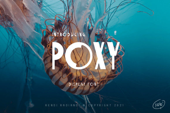 Poxy: A Playful Display Font for Modern Web Design