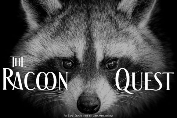 The Racoon Quest: A Distinctive Display Typeface for Bold Editorial Design